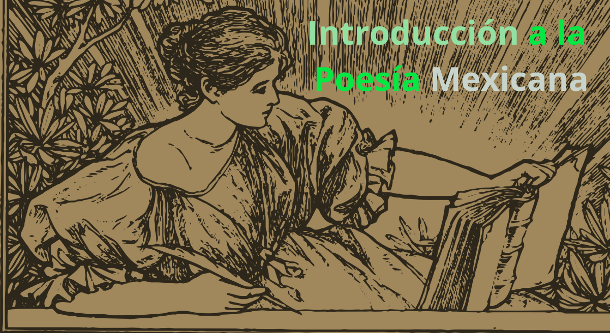 Introduccion-a-la-Poesia-Mexicana-1 ¡Se un gran escritor! 11 Consejos sobre cómo armar tu libro.