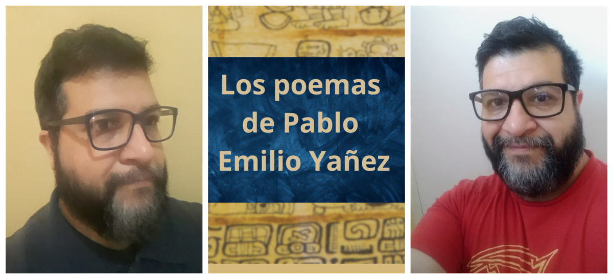 Ad-Hominem-y-Breves-Histerias-Posmodernas-de-Pablo-Emilio-Yanez-Version-PDF- ¡Se un gran escritor! 11 Consejos sobre cómo armar tu libro.
