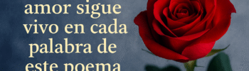 Poemas emotivos para mamá difunta llenos de amor y esperanza. Encuentra versos originales para recordarla y rendirle un homenaje eterno.
